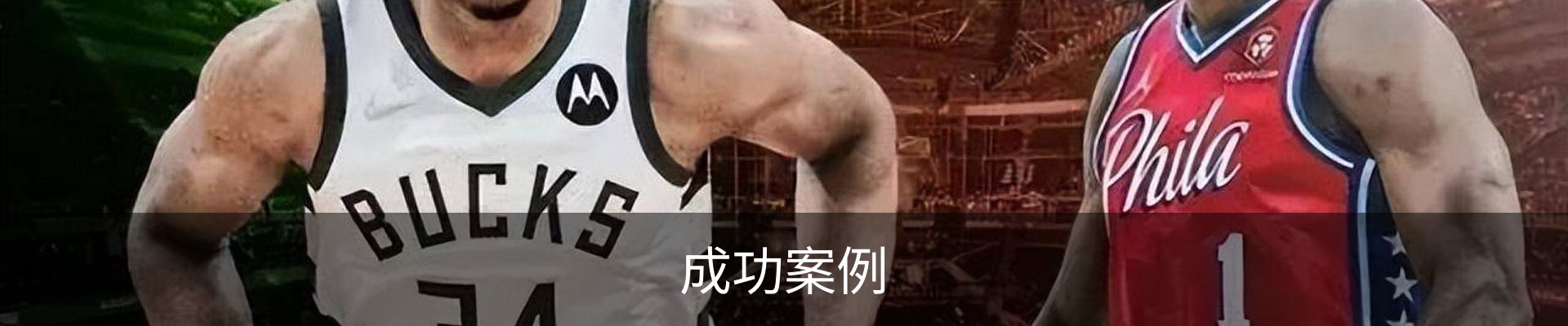 成功案例